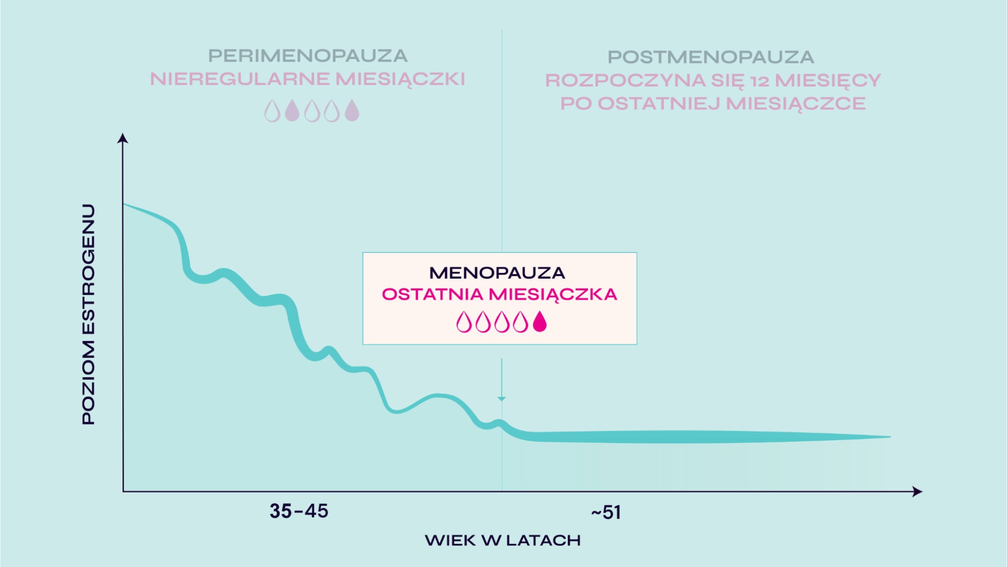 Wykres przebiegu menopauzy – faza menopauzy.